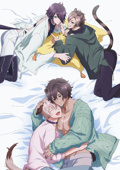 Mori no Kuma.